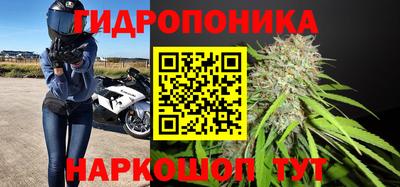 прущие грибы Коммунар