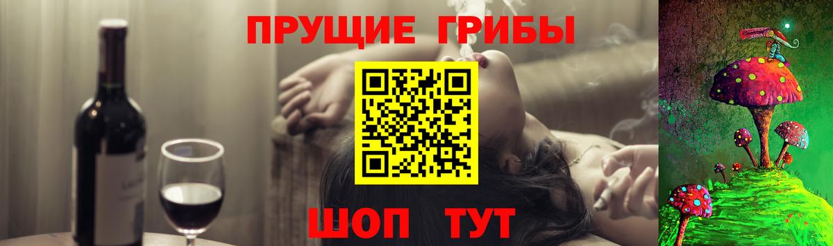 Псилоцибиновые грибы Magic Shrooms  Псилоцибиновые грибы Cubensis  цены наркотик  Вход с VPN  Вольск 
